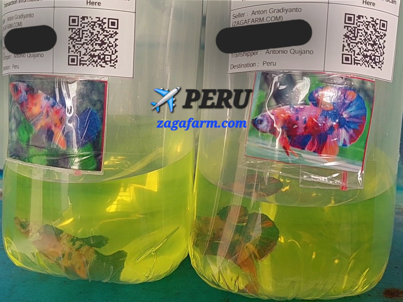 ✈️ PERU.