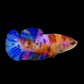 Multicolor Pink Purple Galaxy HMPK Female For Sorority Tank/Breed