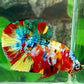 Multicolor Galaxy HMPK Male