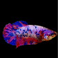 Multicolor Pink Purple Blue Dalmation HMPK Female For Sorority Tank/Breed