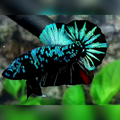 Avatar Gordon Green Over HMPK Male #na