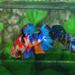 Multicolor Galaxy HMPK Female For Sorority Tank/Breed