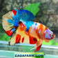 Yellowbase Multicolor Galaxy HMPK Male
