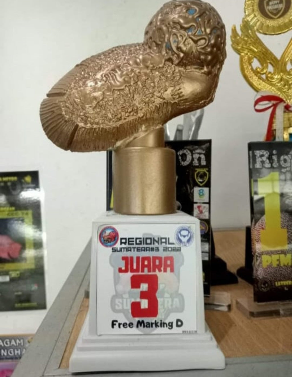 Champion 3rd Place Free Marking Indonesia Kamfa Big Kok Flowerhorn